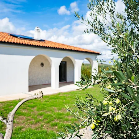 Olivarum With Heated Pool Bila Vlaka