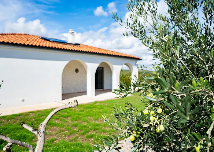 Olivarum With Heated Pool Bila Vlaka